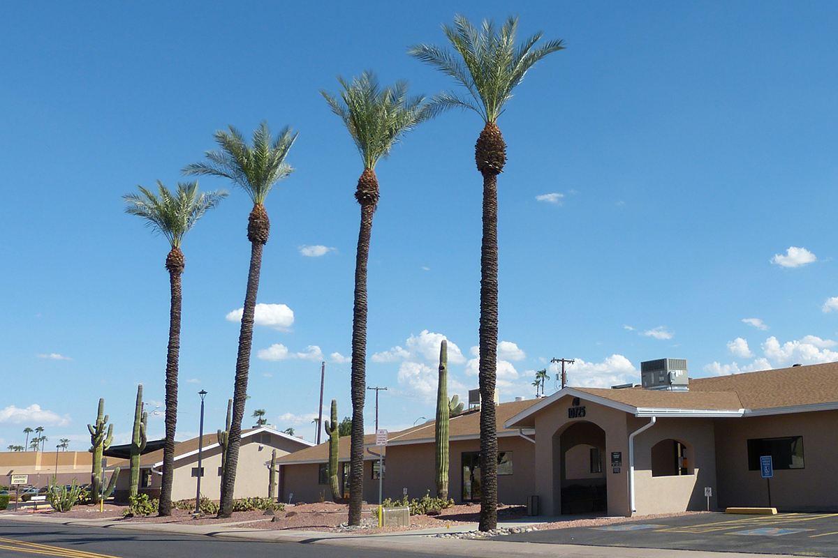 Amenities At Sun City Arizona 55 Retirement Community 3866