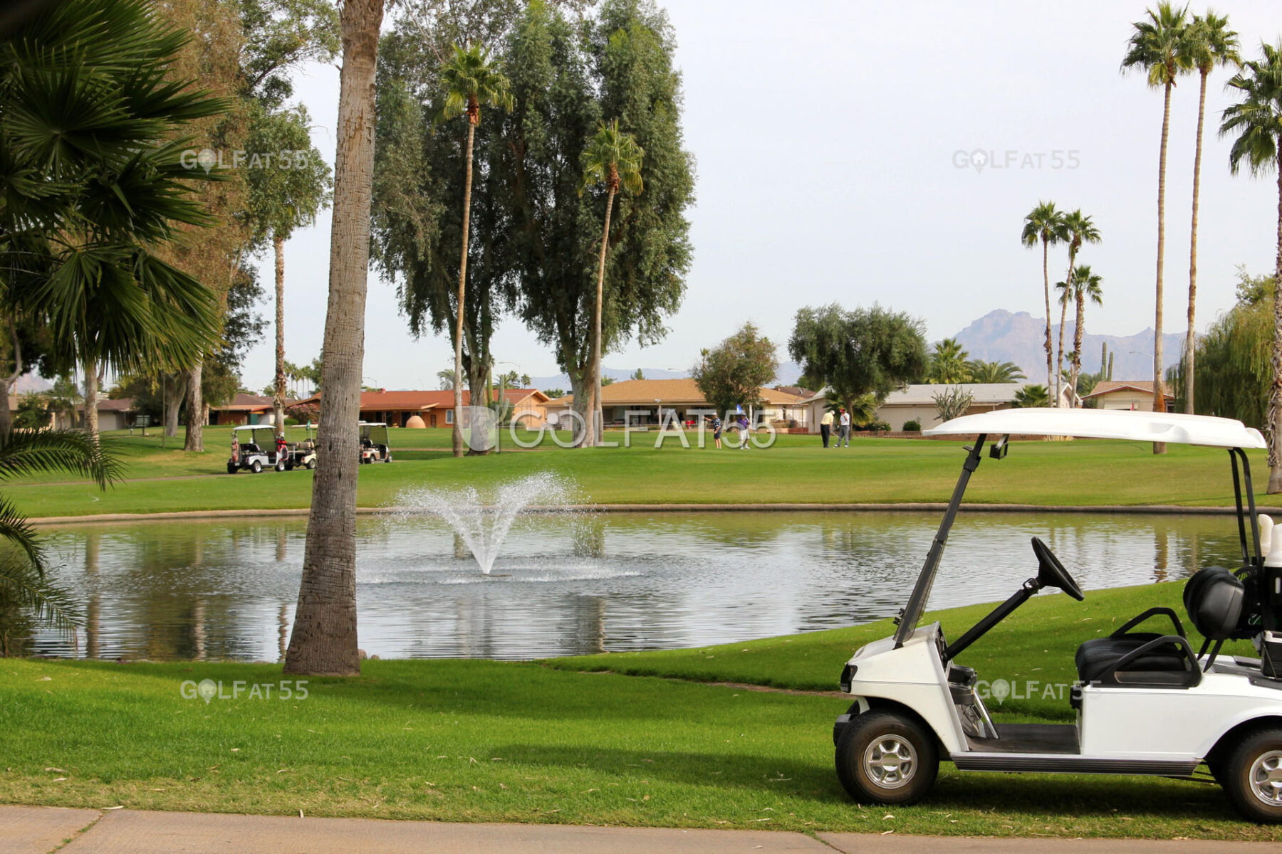 Sunland Village 55+ Retirement Community in Mesa AZ